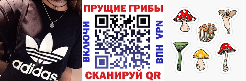Галлюциногенные грибы прущие грибы  Купить  Липецк 